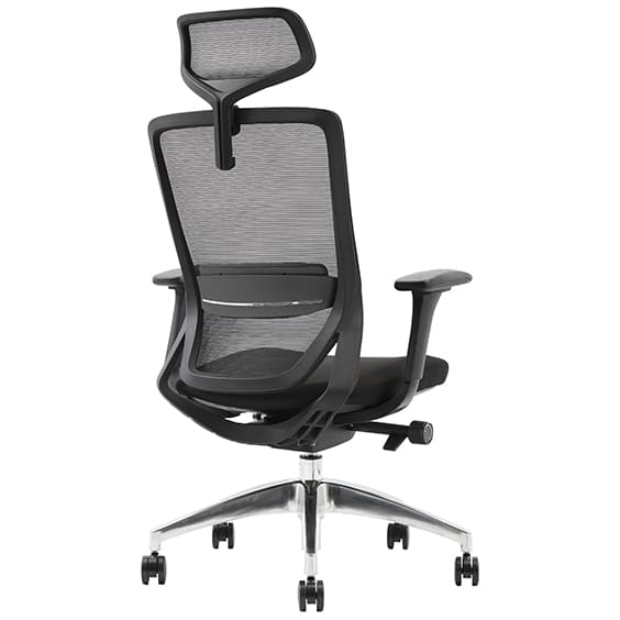 BAXTER-H-Back-side-view.jpg