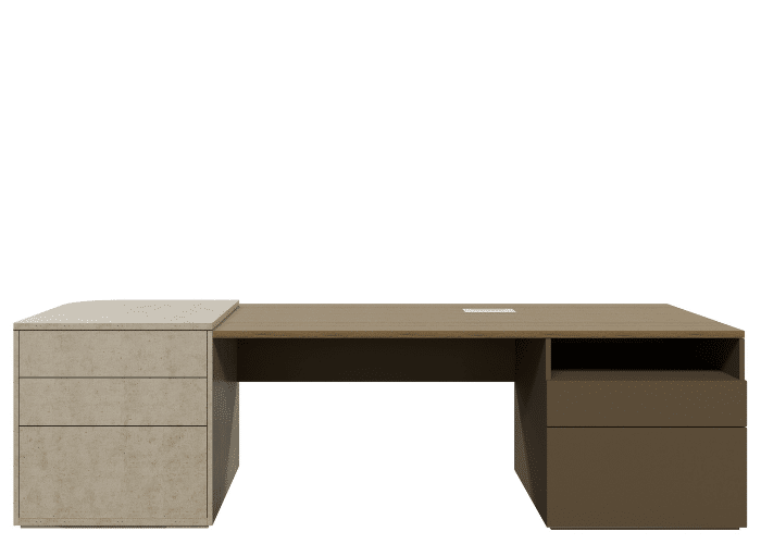 Danni-Executive-Desk-Internal.png