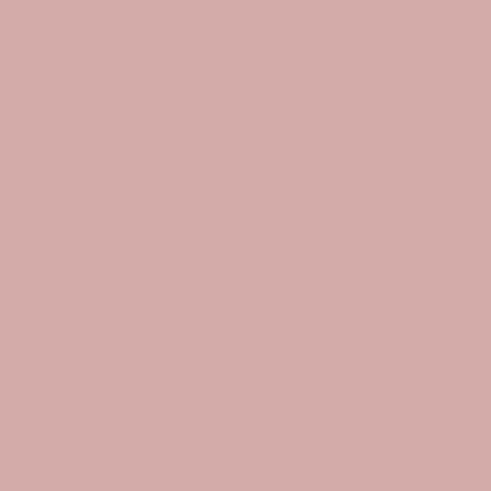 Salmon-1_4d84a96b-a023-4a29-8710-5babae6e0bf3.png